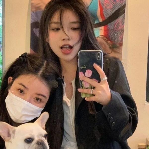 追星星的人第三季